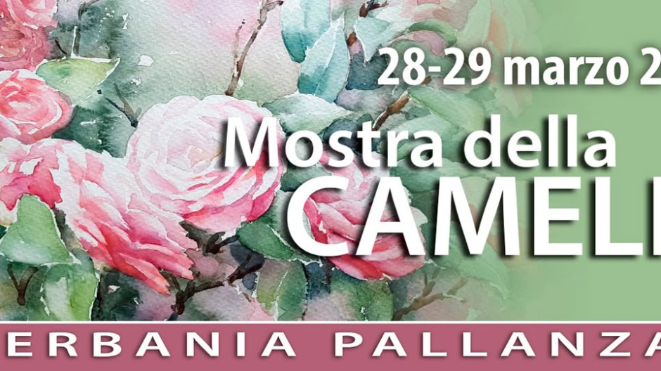 A Verbania torna la Mostra della Camelia: il 28 e 29 marzo la 58ª edizione